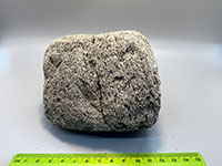 a gray rock with a frothy (bubbly) surface texture like a sponge
